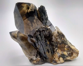 Aegirine Smoky Quartz Crystal Cluster, Malawi Specimen