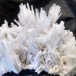 Quality Collector Scolecite Flower Spray Fan Cabinet Display Scolecite Specimen XL Scolecite Flower Fan Formation