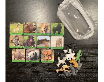 LAMINADO SET Montessori tarjetas flash para niño a juego a juego