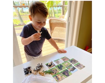 Juguete Montessori / Juego Montessori para niños pequeños / Juguetes Montessori para animales / Juguetes Montessori para niños pequeños / Juego de coincidencia de figurillas de animales del zoológico