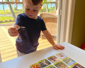 Juego de animales de emparejamiento para niños pequeños Juego de tarjetas laminadas Petting Farm Flash Set para aprendizaje Montessori / Juego Montessori durante 15 meses - 3 años