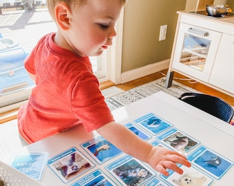 Juego de emparejamiento Montessori para niños pequeños con tarjetas flash de bebés animales marinos