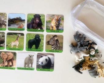 Montessori Matching Game / Animal Matching Game / Toddler Montessori Game / Preschool Matching Game / Preschool Montessori Game