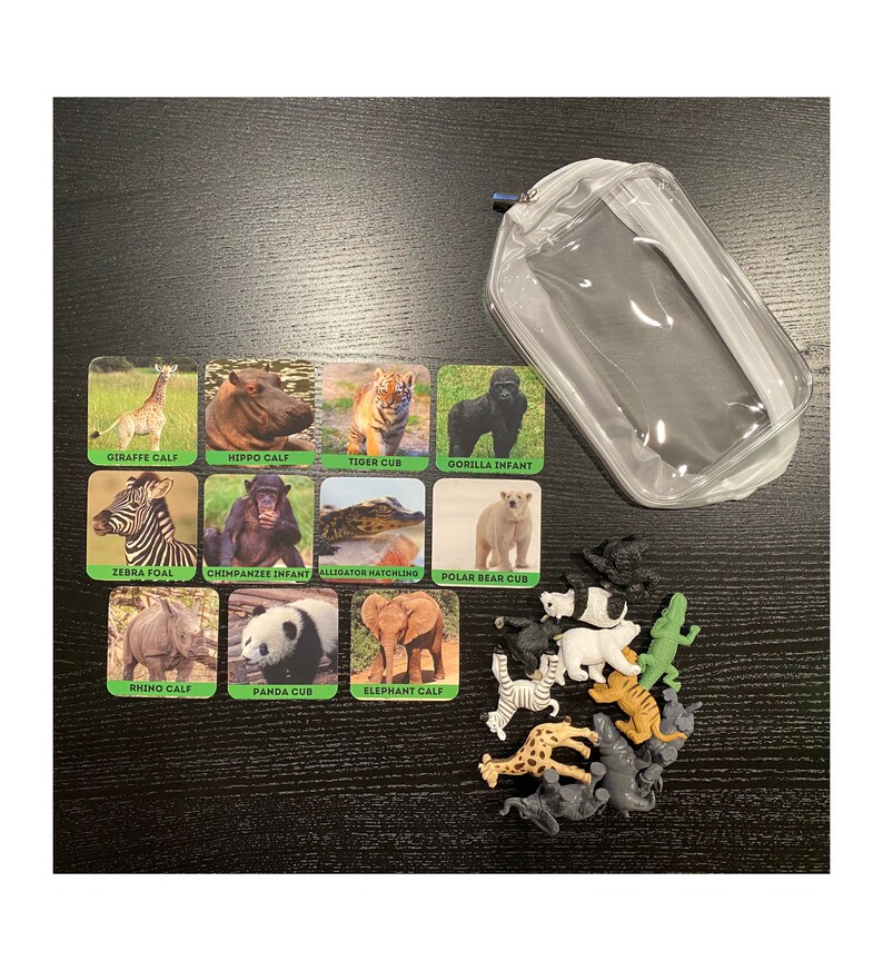 May include: A set of 12 animal flashcards with corresponding plastic animal figurines. The flashcards feature images of a giraffe calf, hippo calf, tiger cub, gorilla infant, zebra foal, chimpanzee infant, alligator hatchling, polar bear cub, rhino calf, panda cub, and elephant calf. The figurines are in various colors and poses.