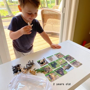 May include: A young child plays with animal figurines and matching cards. The cards feature pictures of animals like a tiger, zebra, panda, and gorilla. The child is sitting at a white table with a clear plastic bag next to them. The text "2 years old" is written on the table.