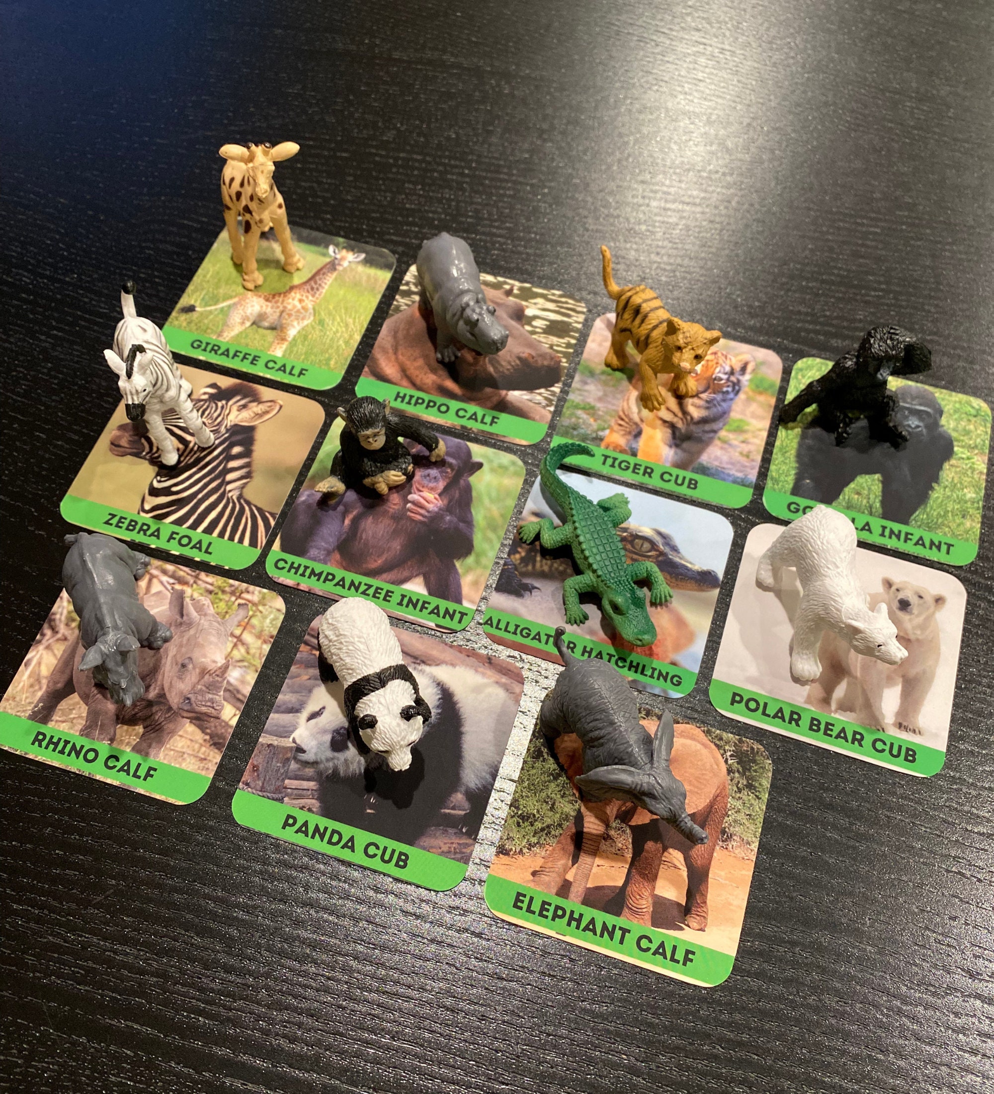 Zoo Animals | Montessori Matching Cards With Figurines | Preschool Gift ...