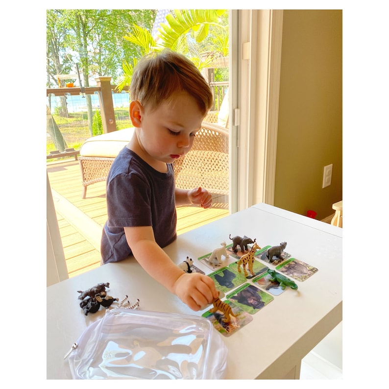 May include: A young child plays with a set of animal figurines and matching cards. The figurines include a giraffe, zebra, elephant, panda, tiger, and a crocodile. The cards are green with a white border and feature images of the animals.