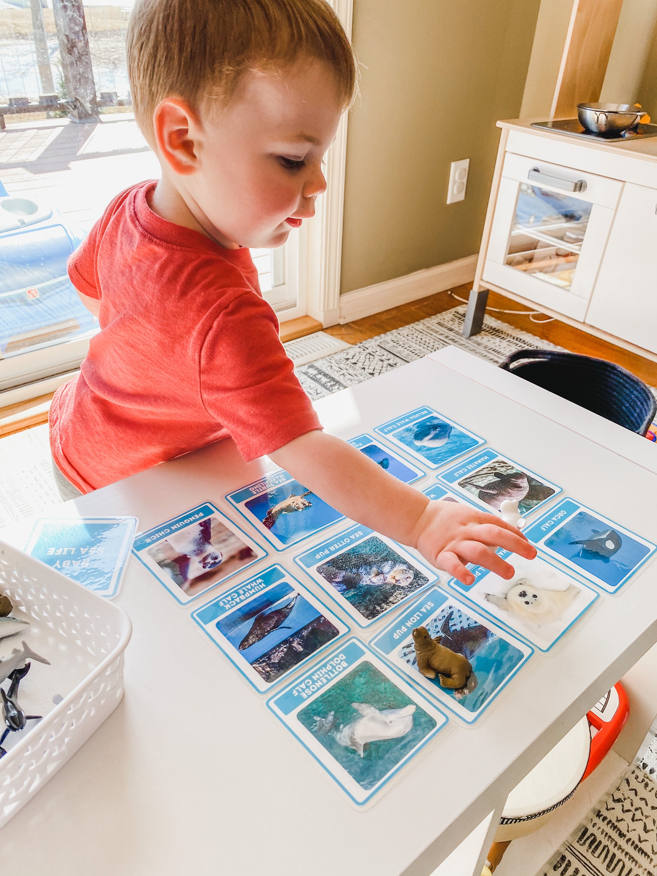 Sea Animals At Aquarium Montessori Matching Cards With Etsy