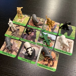 May include: A set of 10 flashcards featuring different animal babies. Each card has a colorful background with a picture of the animal and its name. The animals include a giraffe calf, hippo calf, tiger cub, gorilla infant, zebra foal, chimpanzee infant, alligator hatchling, polar bear cub, rhino calf, panda cub, and elephant calf.