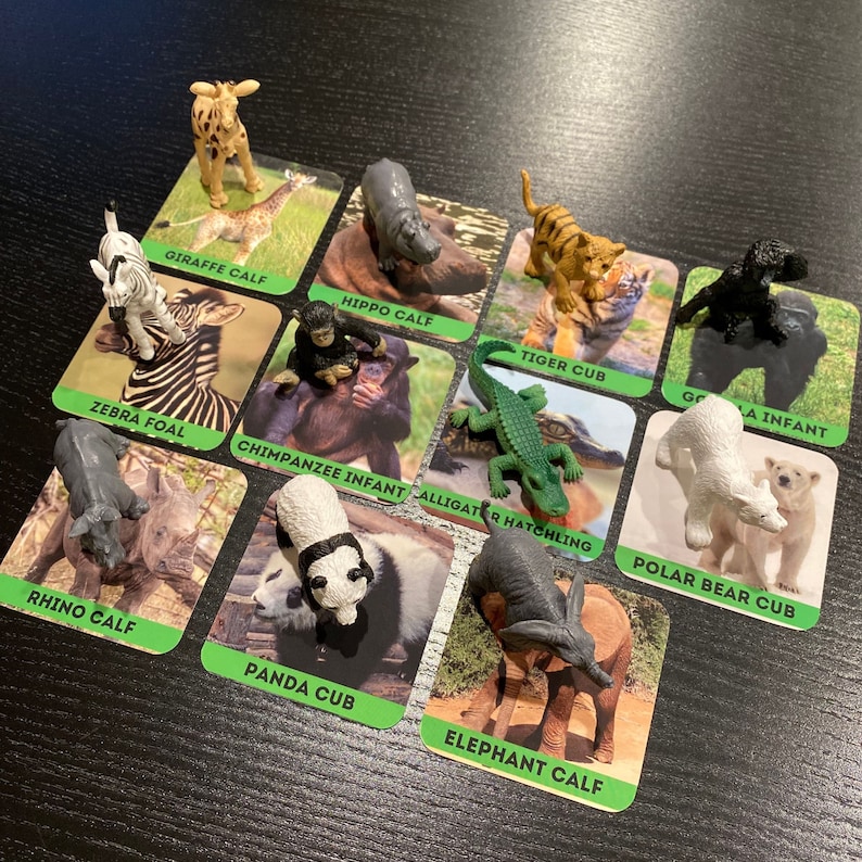 May include: A set of 10 flashcards featuring different animal babies. Each card has a colorful background with a picture of the animal and its name. The animals include a giraffe calf, hippo calf, tiger cub, gorilla infant, zebra foal, chimpanzee infant, alligator hatchling, polar bear cub, rhino calf, panda cub, and elephant calf.