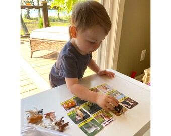 Juego de emparejamiento de juegos de juegos Montessori para niños pequeños con tarjetas flash de animales de granja