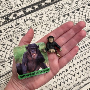 May include: A close-up of a small, black chimpanzee figurine sitting on a hand. The figurine is holding a small, green object in its hand. The hand is holding a card with the words "Chimpanzee Infant" printed on it.