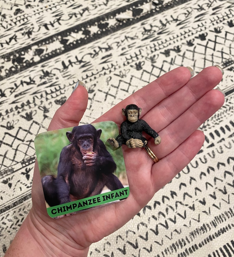 May include: A close-up of a small, black chimpanzee figurine sitting on a hand. The figurine is holding a small, green object in its hand. The hand is holding a card with the words "Chimpanzee Infant" printed on it.