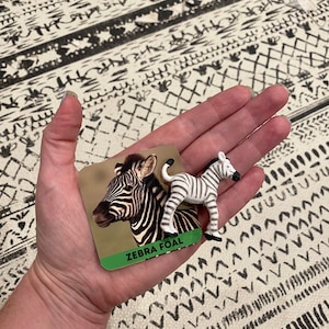 May include: A close-up of a hand holding a card with a picture of a zebra foal and the text "ZEBRA FOAL". A small plastic zebra foal toy is also in the hand.