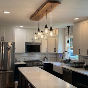 The RED TAIL HAWK live edge glass shade chandelier