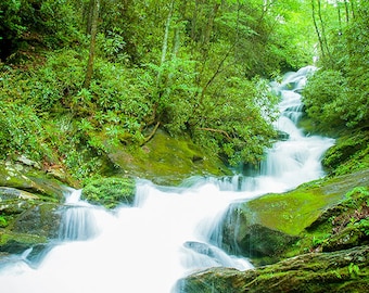 Photograph - hidden North Carolina waterfall, plush green secluded and beautiful - a range of sizes and media
