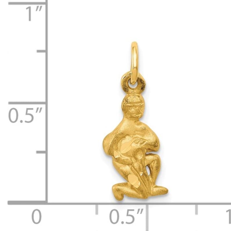20mm 14K Yellow Gold Aquarius Zodiac Horoscope Birth Sign Satin Charm Pendant