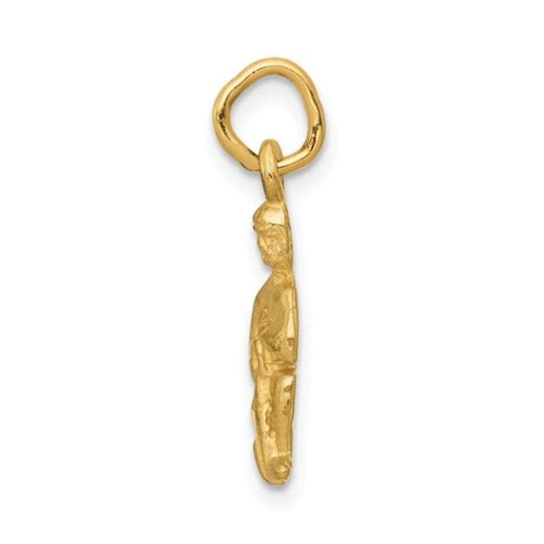 20mm 14K Yellow Gold Aquarius Zodiac Horoscope Birth Sign Satin Charm Pendant