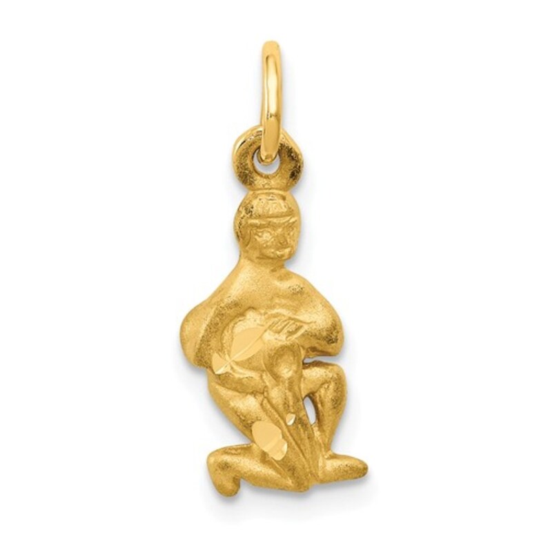 20mm 14K Yellow Gold Aquarius Zodiac Horoscope Birth Sign Satin Charm Pendant