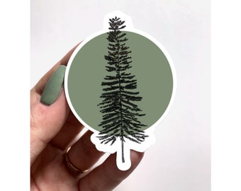 CLEAR Pine Tree Sun Sticker