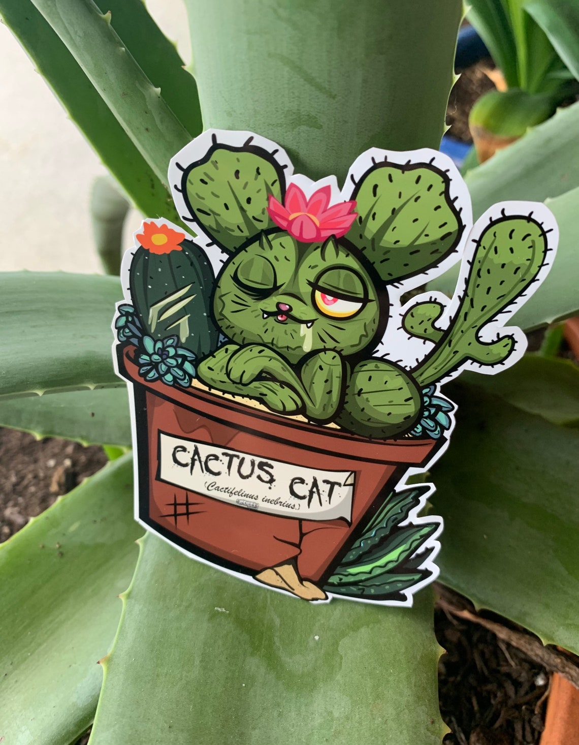 Cactus Cat - [fearsome Critters] - Cryptid Sticker - Etsy Canada