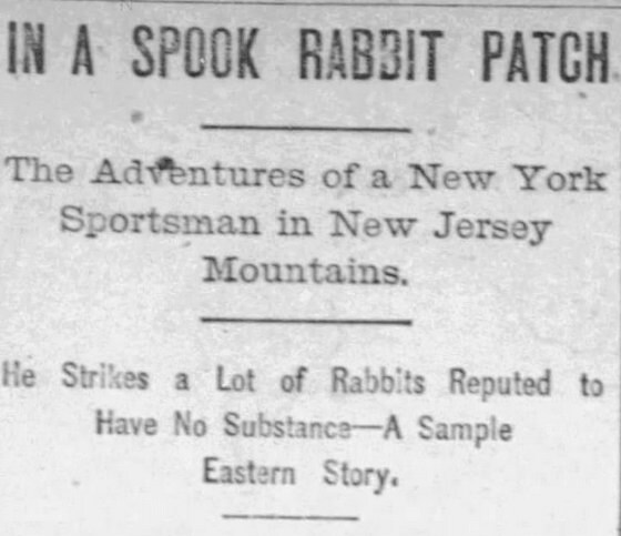 Spook Rabbit - [fearsome Critter] - Etsy