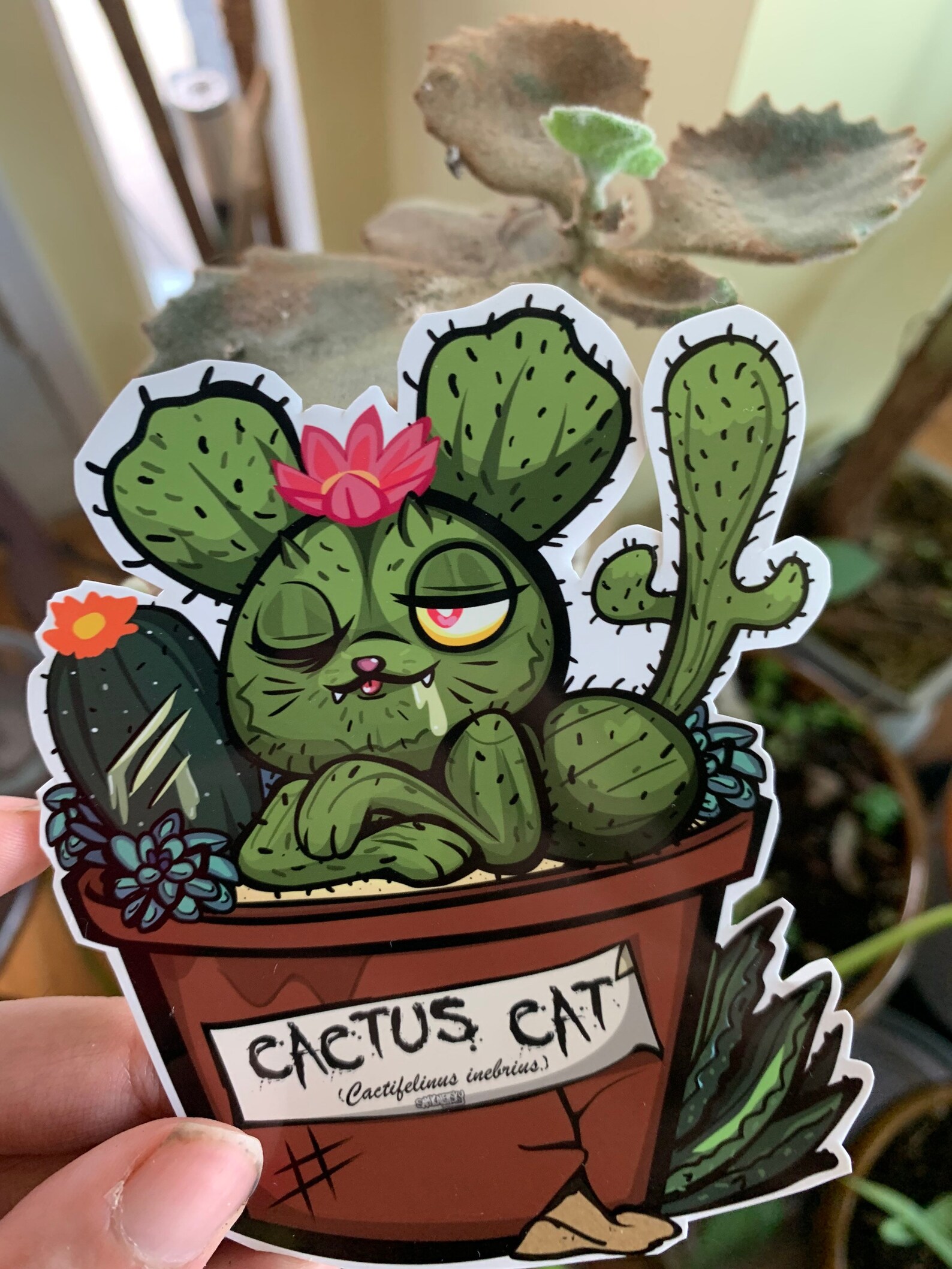Cactus Cat - [fearsome Critters] - Cryptid Sticker - Etsy Canada