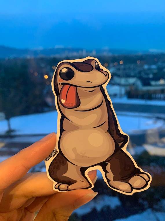 Mocc “canada Mountain Creature Caught Running Behind Google Street