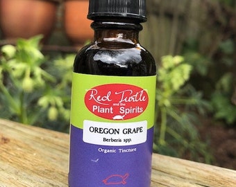 Oregon Grape root tincture (Berberis nervosa), organic