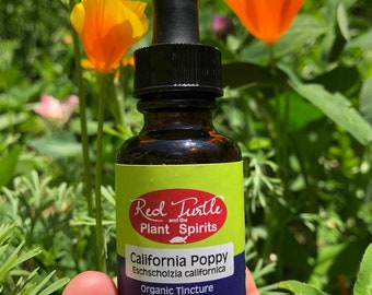 California Poppy tincture, organic (Eschscholzia californica)