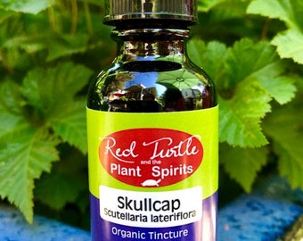 Skullcap Tincture (Scutellaria lateriflora), organic