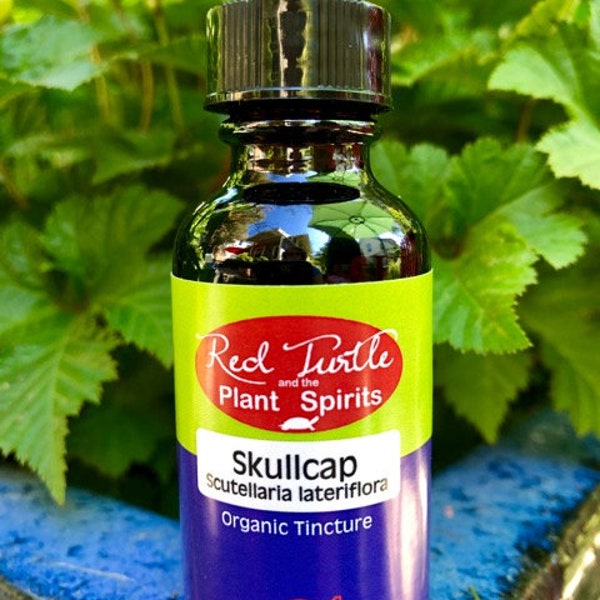 Skullcap Tincture (Scutellaria lateriflora), organic