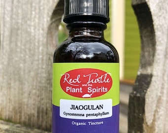 Jiaogulan tincture (Gynostemma pentaphyllum), organic