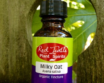 Fresh Milky Oat Tincture, Organic (Avena sativa)