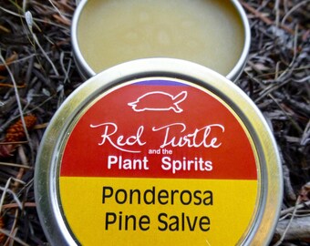 Ponderosa Pine Pitch Salve 1 oz (Pinus ponderosa)