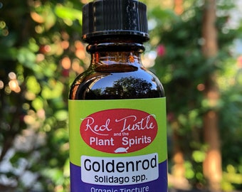 Goldenrod tincture (Solidago canadensis), organic