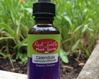 Calendula Tincture (Calendula officinalis), organic