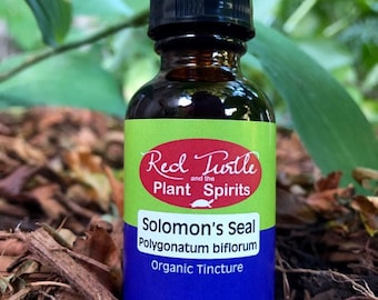 Solomon's Seal tincture (Polygonatum bilflorum), organic