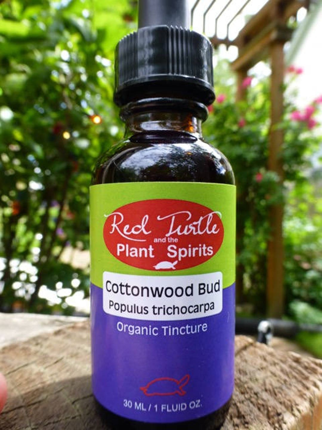 Cottonwood Bud Tincture Balsam Poplar Balm of Gilead Etsy 日本