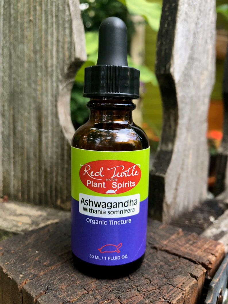 May include: A brown glass bottle with a black dropper top. The label is green, red, and white with the text "Red Turtle and the Plant Spirits Ashwagandha Withania somnifera Organic Tincture 30 ml/1 fluid oz."