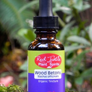 May include: A glass bottle with a dropper top, labeled "Red Turtle and the Plant Spirits Wood Betony Stachys officinalis Organic Tincture 30 ML/1 FLUID OZ."