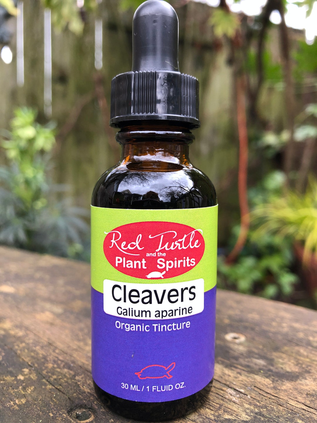 Cleavers Tincture galium Aparine, Organic Etsy