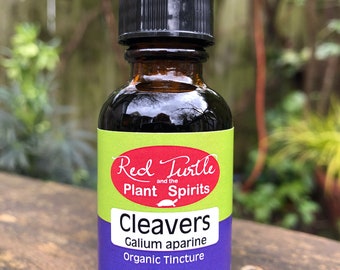 Cleavers tincture (Galium aparine), organic