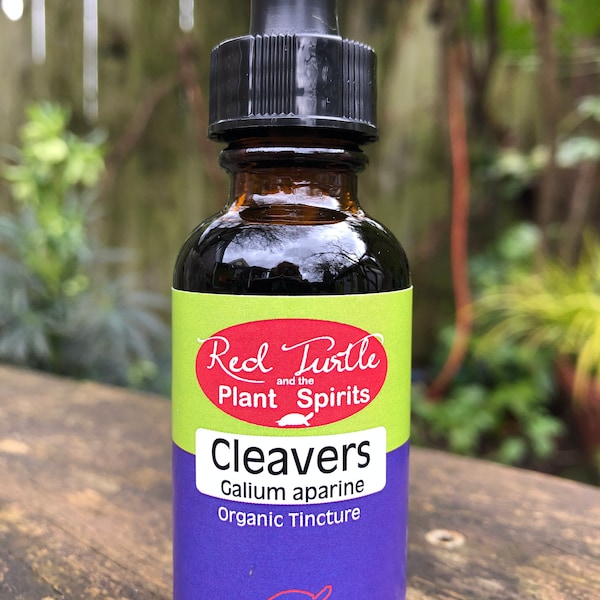 Cleavers tincture (Galium aparine), organic