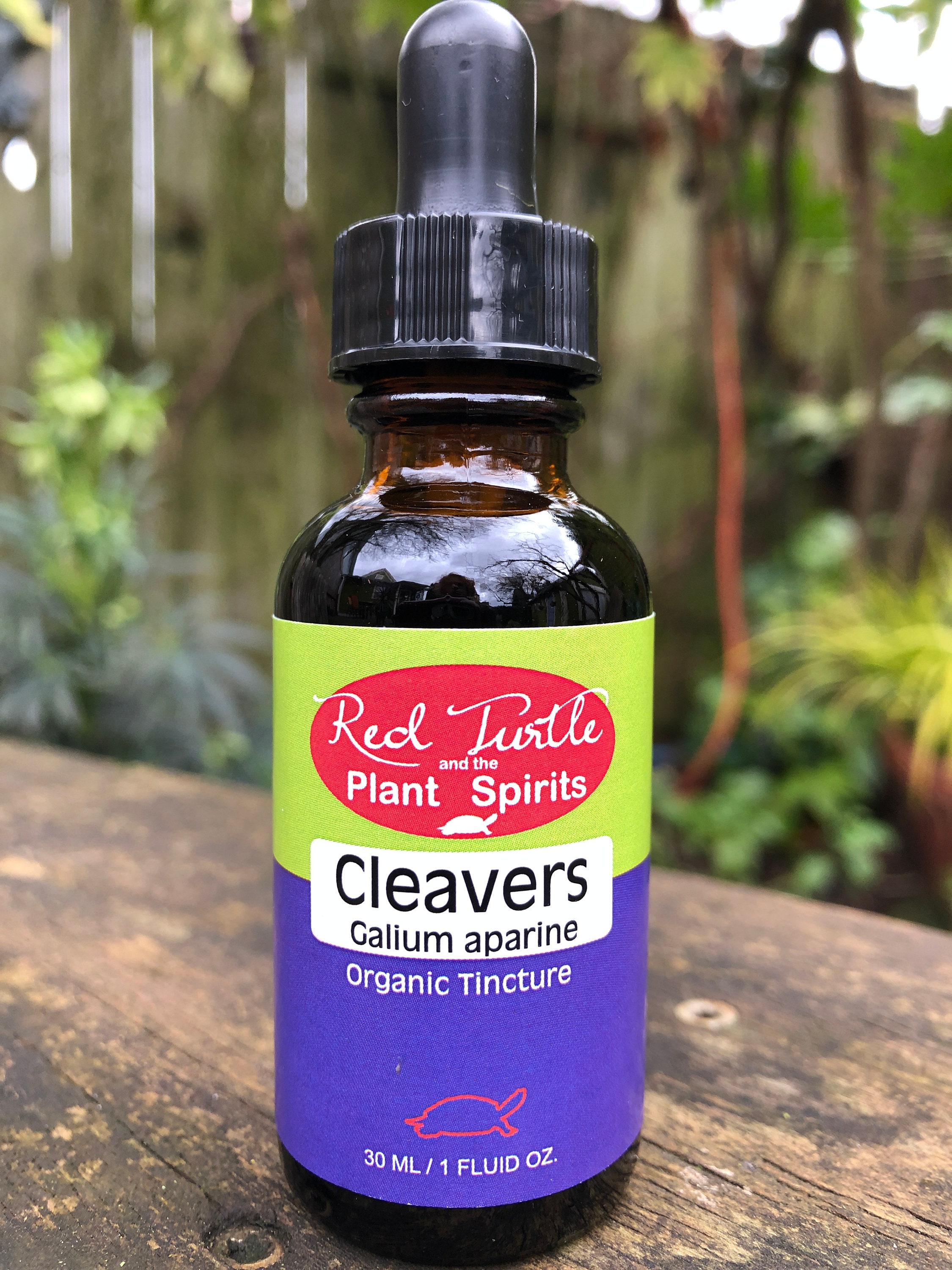 Cleavers Tincture galium Aparine Organic Etsy