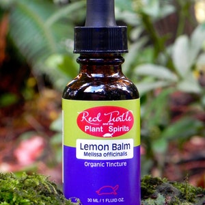 Lemon Balm tincture, organic