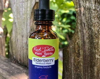 Elderberry tincture, organic