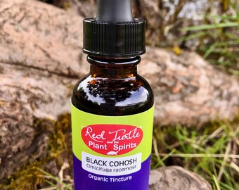 Black Cohosh tincture, organic (Cimicifuga racemosa)