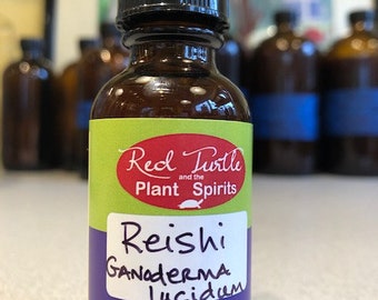 Reishi tincture - organic - Ganoderma lucidum