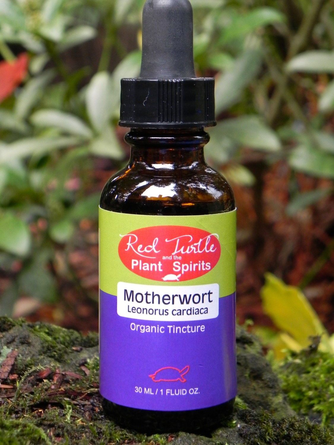 Motherwort tincture: instructions and indications for admission 39 Motherwort tincture: instructions and indications for admission 27